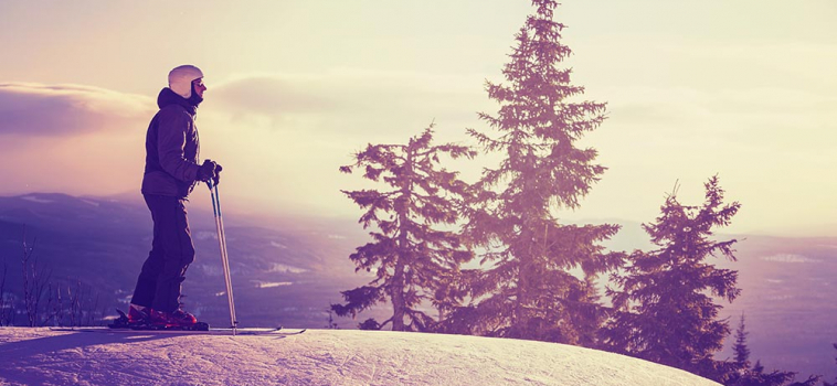 Convallis Tempus Phasellus