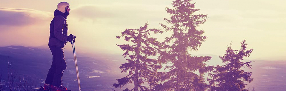 Convallis Tempus Phasellus