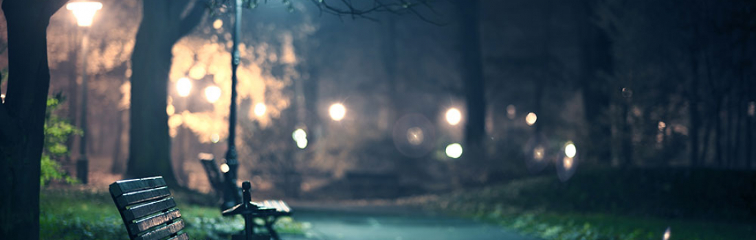 Sed molestie quis augue