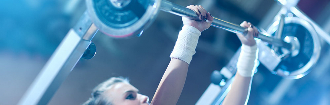 Fusce Blandit Ultricies