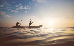 Vestilum Soudin Aliquet