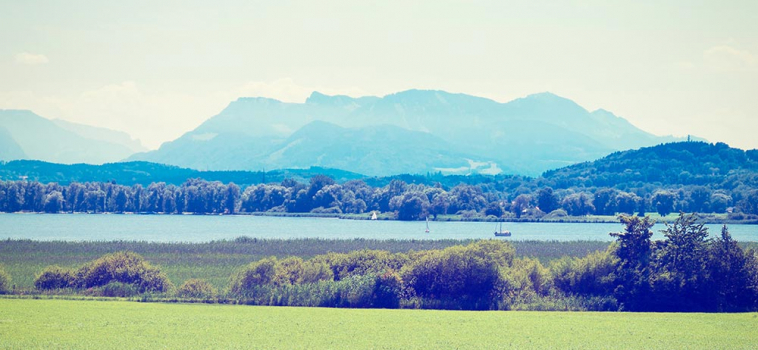 Pellentesque Egoists Tortor